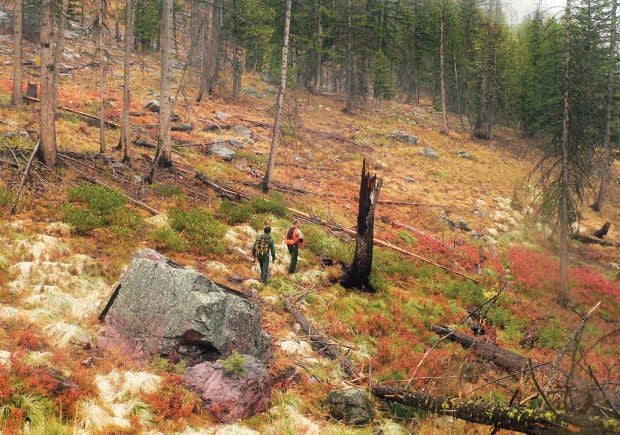 Can you really take a city bus to a wilderness area?